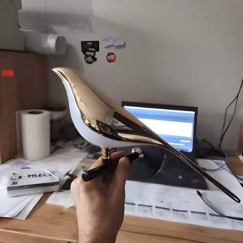 Snel ontvangen IMG avis oiseau1.jpg